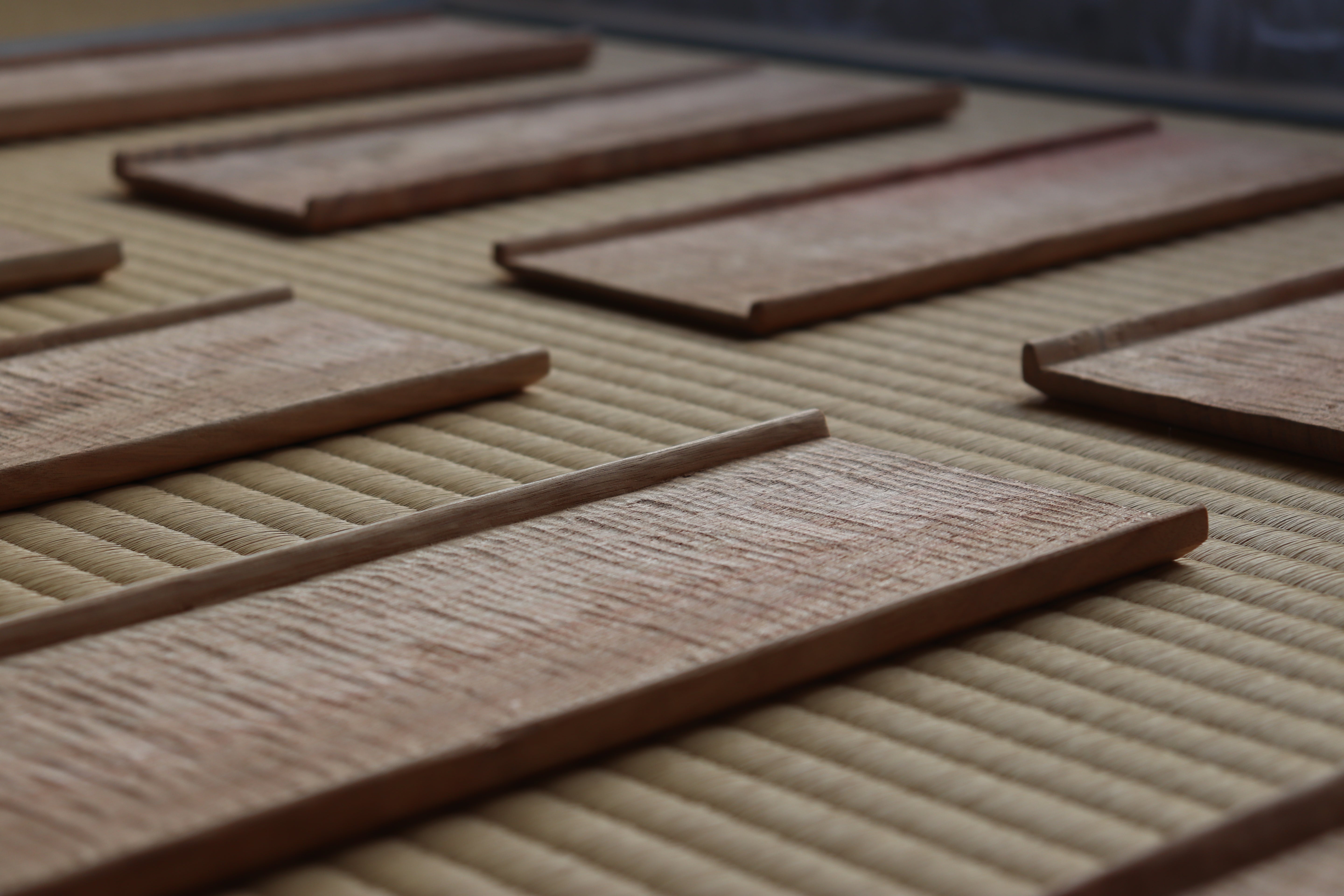 【田代裕基】盆 楠 (小)