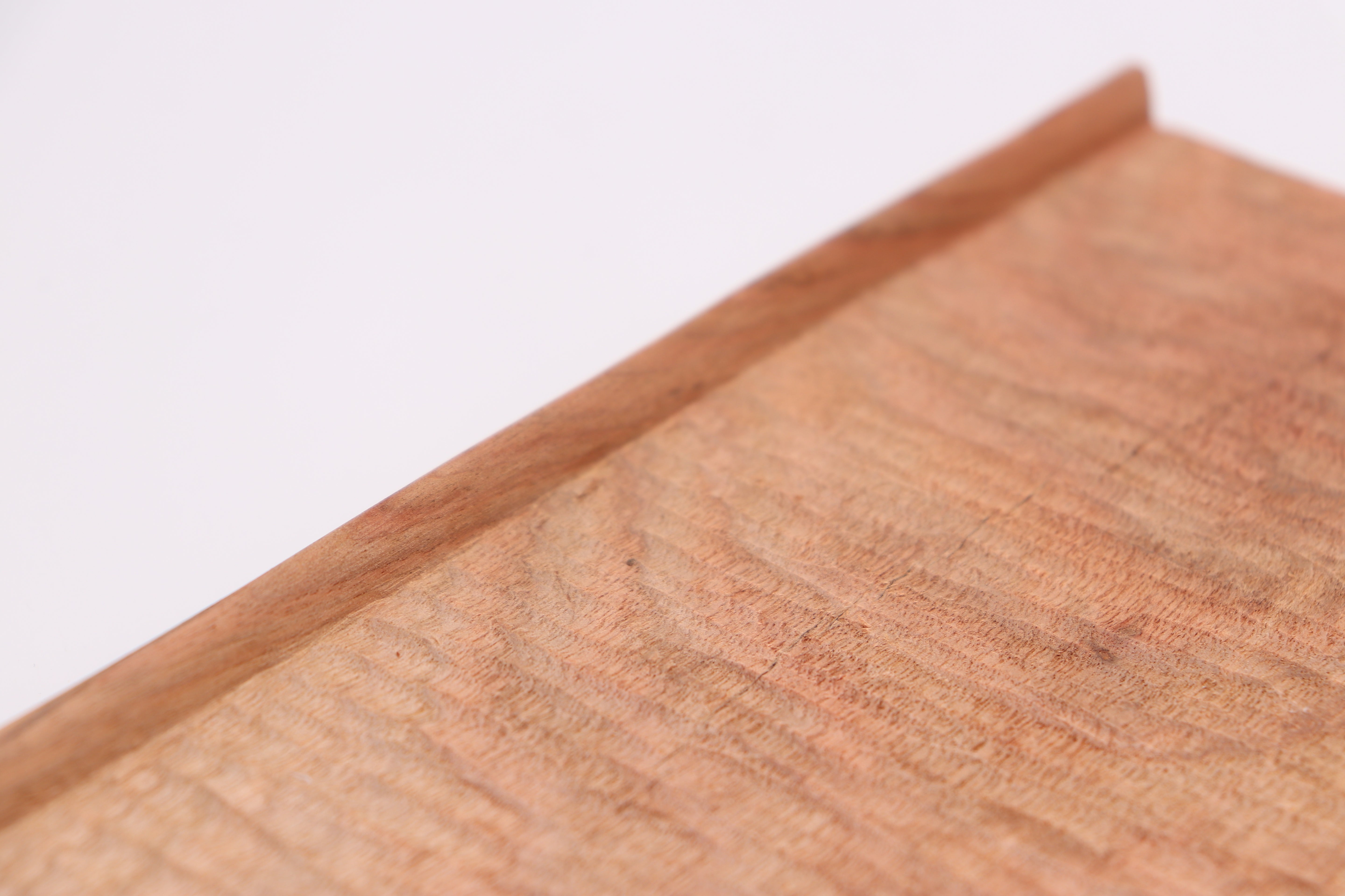 【田代裕基】盆 楠 (小)