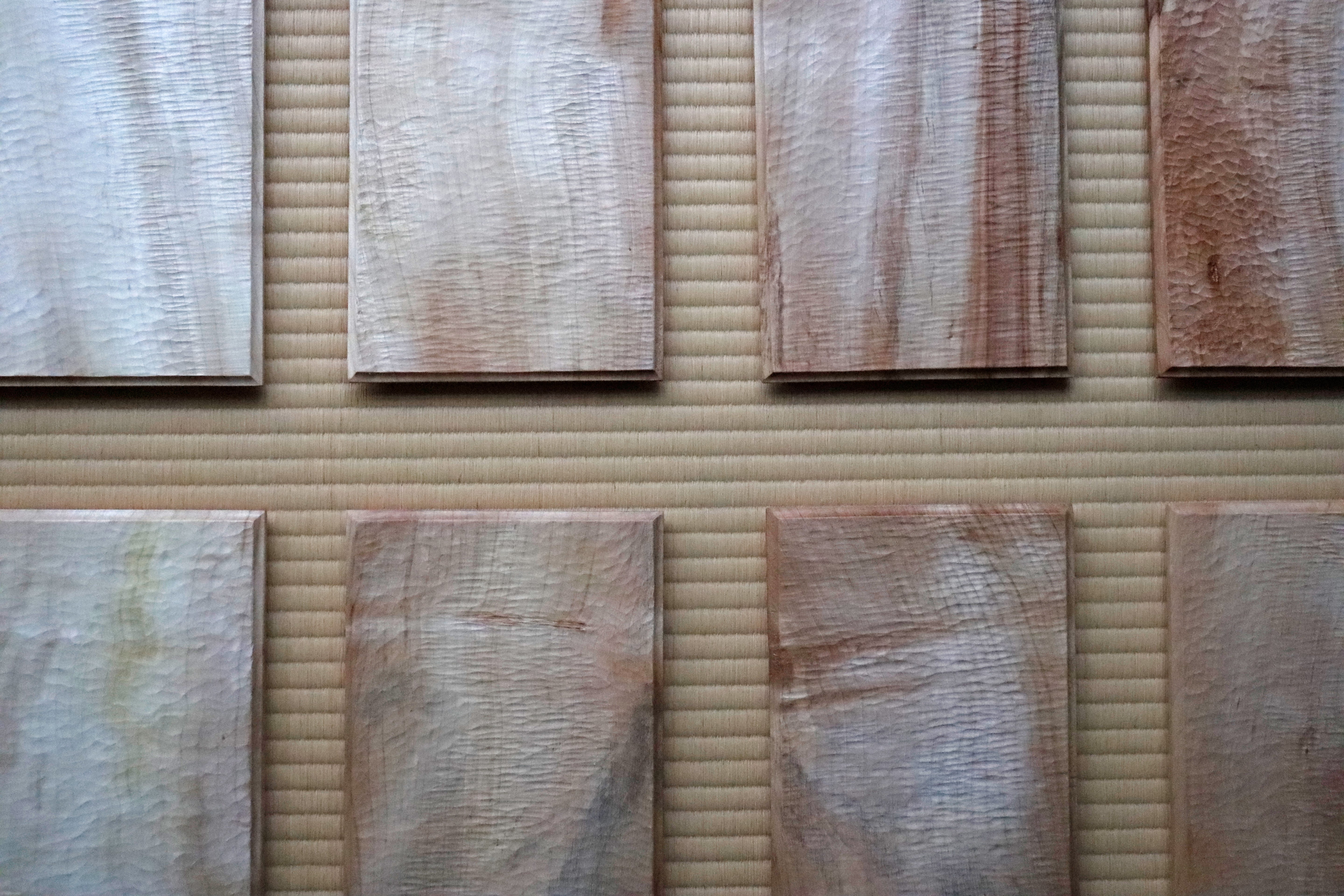 【田代裕基】盆 トチノキ