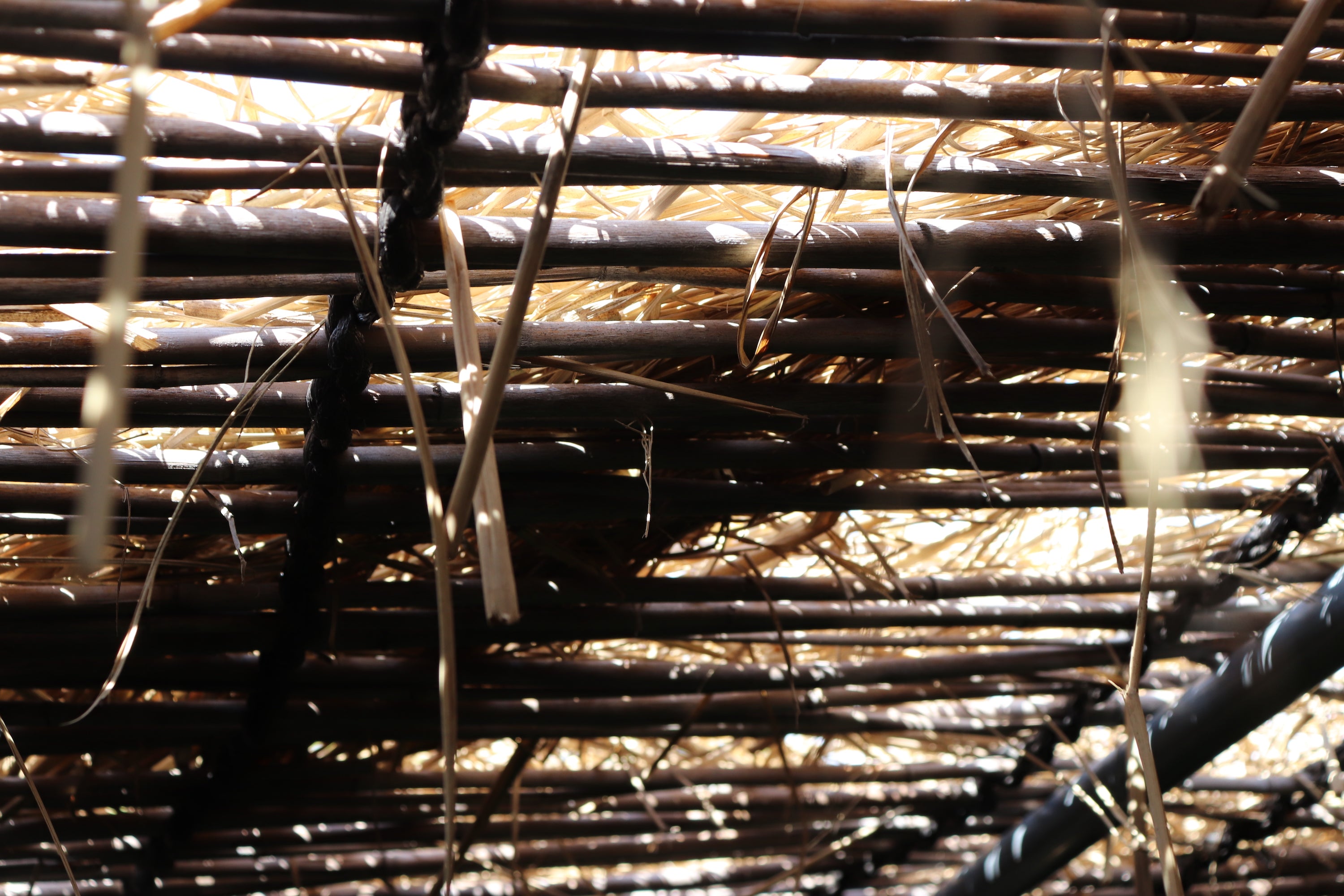 Matcha #3 (original blend) - YUGEN | Uji Matcha