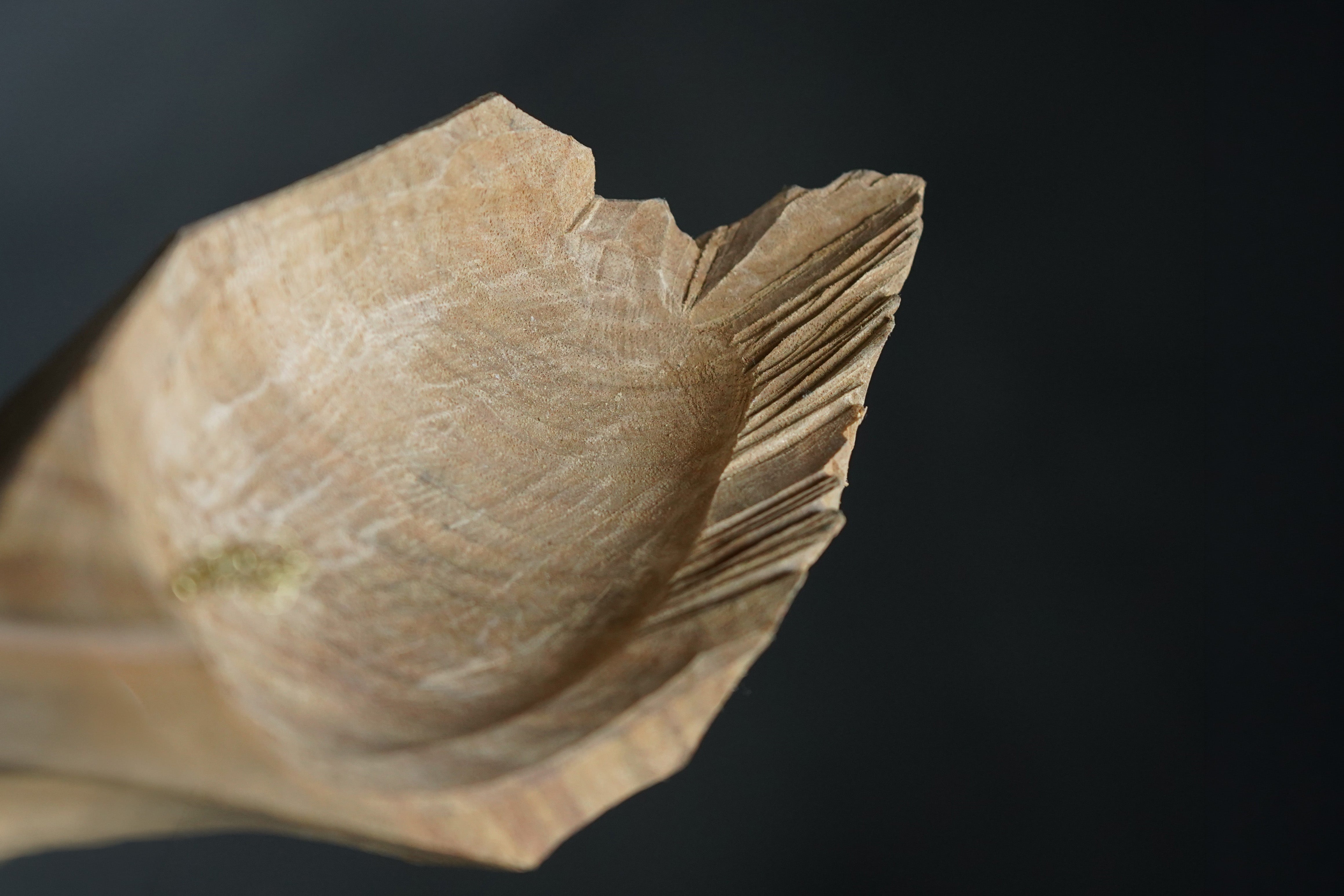 Incense Holder – Hiroki Tashiro