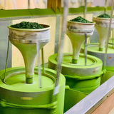 MATCHA #1 (value pack) | YUGEN original blend 50g