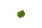 MATCHA #1 (value pack) | YUGEN original blend 50g